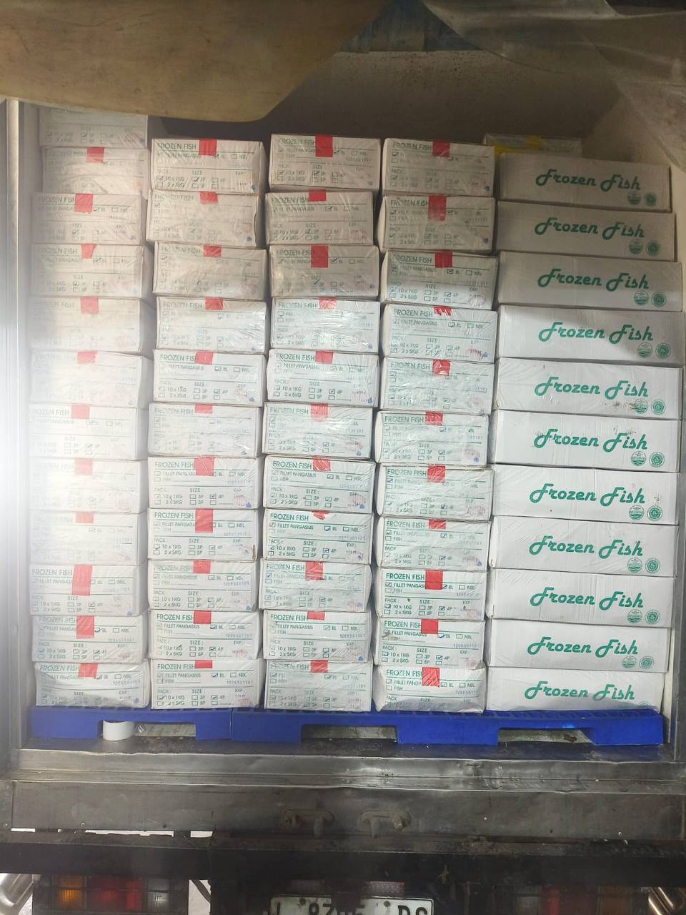 Stock Dori Di Gudang Stock Dori Di Gudang